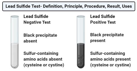 What chemical is used to test for lead?